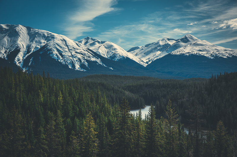 Highway 37, BC - Canon 5DMKIII 50mm - 1/400 @ f8, ISO 100