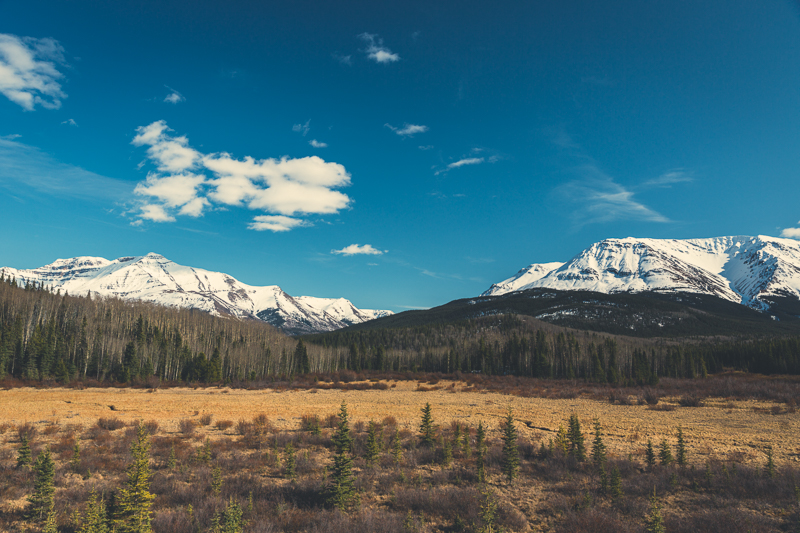 Highway 37, BC - Canon 5DMKIII 26mm - 1/200 @ f8, ISO 100