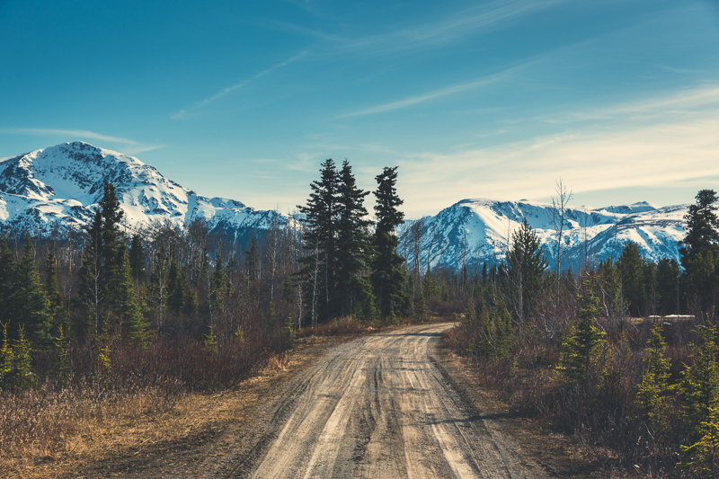 Side road off of Highway 37, BC - Canon 5DMKIII 55mm - 1/125 @ f8, ISO 100
