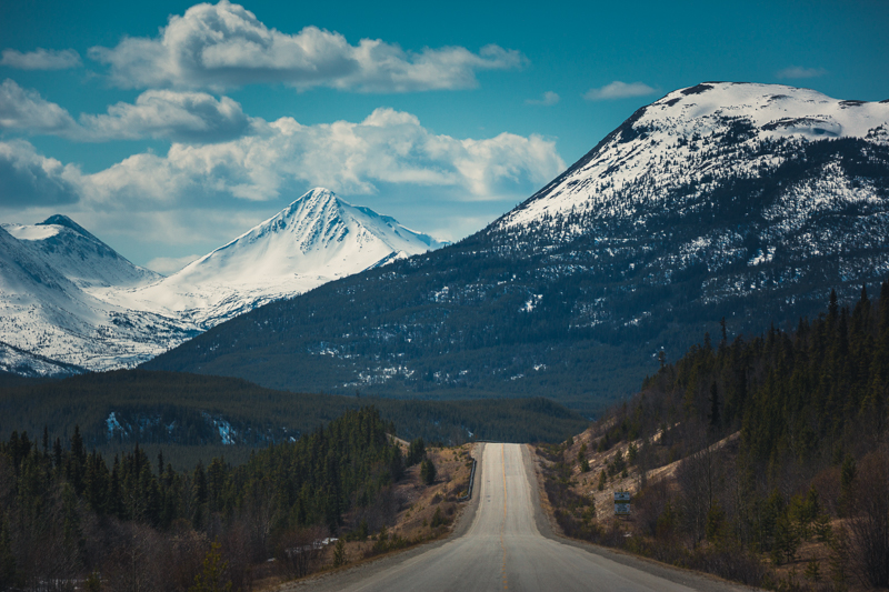 The Alaska Highway, Yukon - Canon 5DMKIII 150mm - 1/1600 @ f 6.3, ISO 400