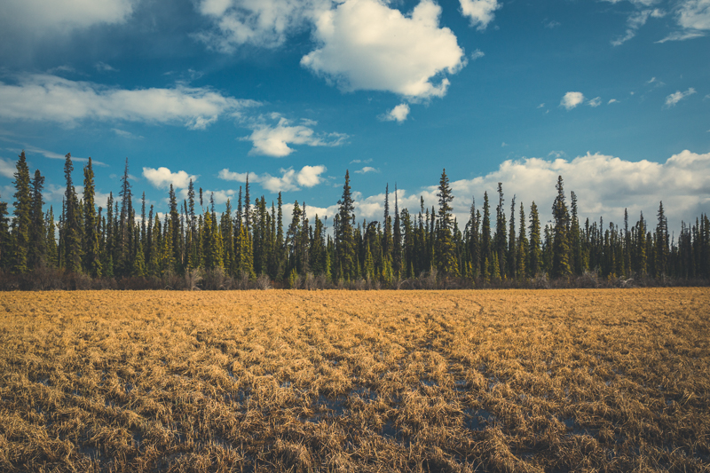 Just outside of Whitehorse, Yukon. Canon 5DMKIII - 