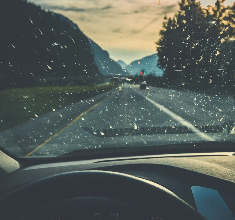 5000km of bug spatter.