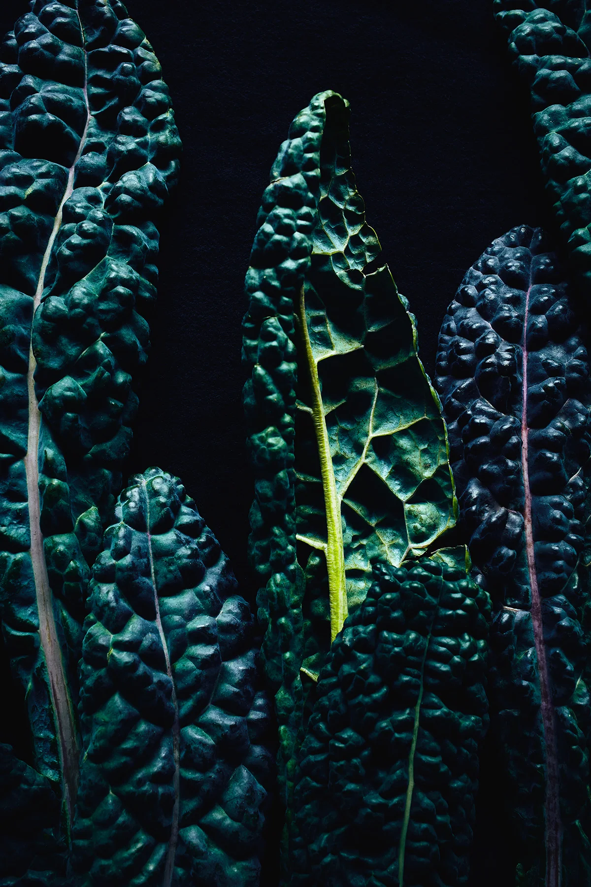 Dark Matter
