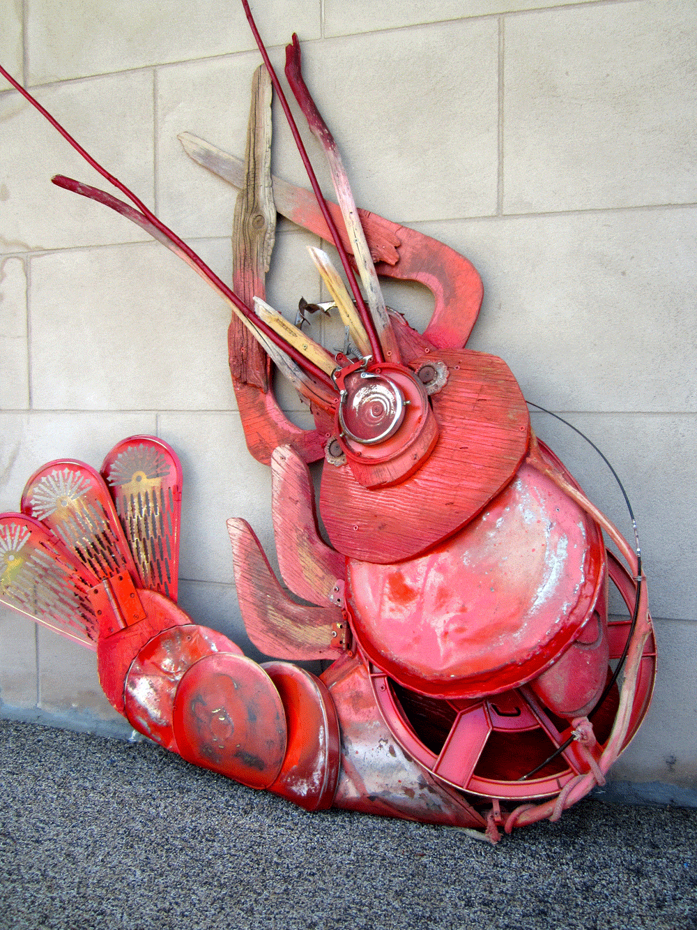 Shrimp
