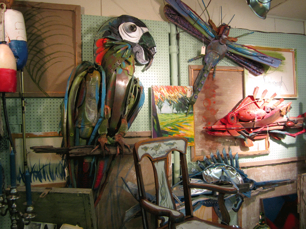 multiple_parrot-dragonfly-fish_02.gif
