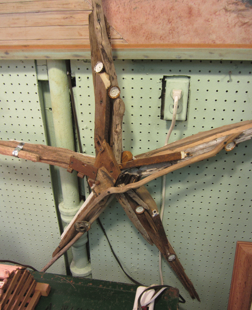 starfish_01.gif