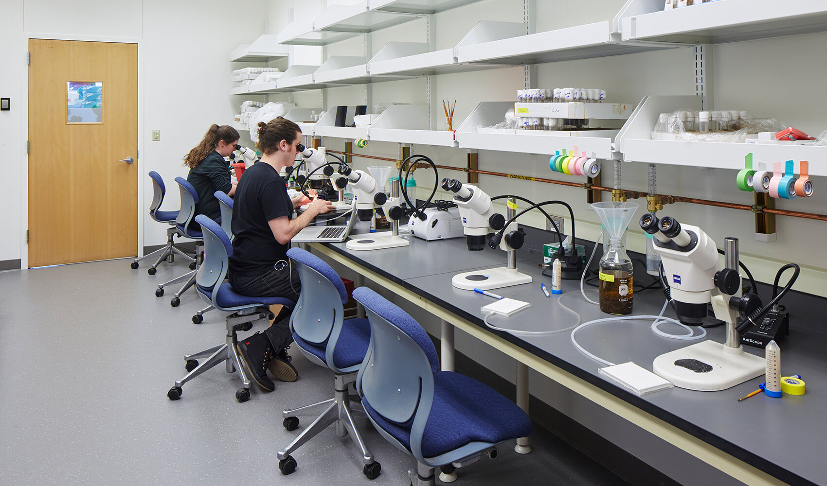 OHSU Freeman Lab Renovation