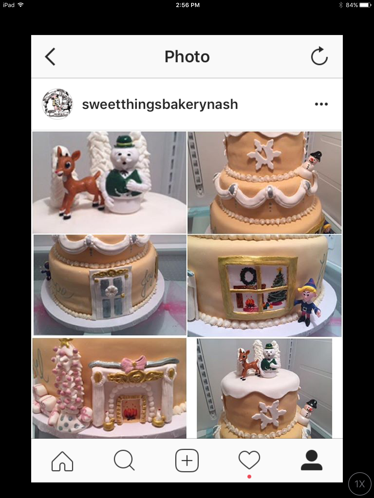 American Cancer Society Hope Lodge Cake