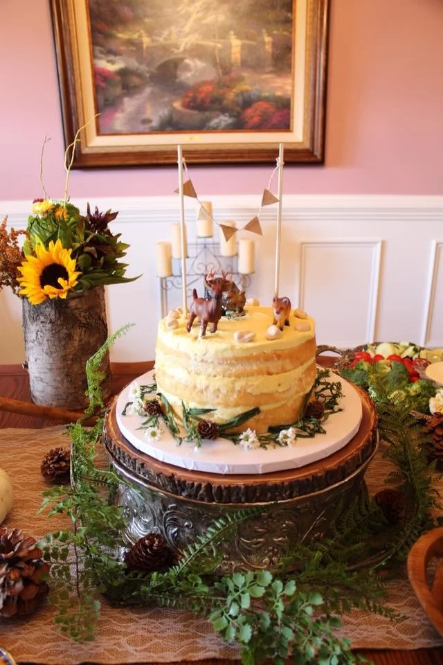 Forest Baby Shower Cake
