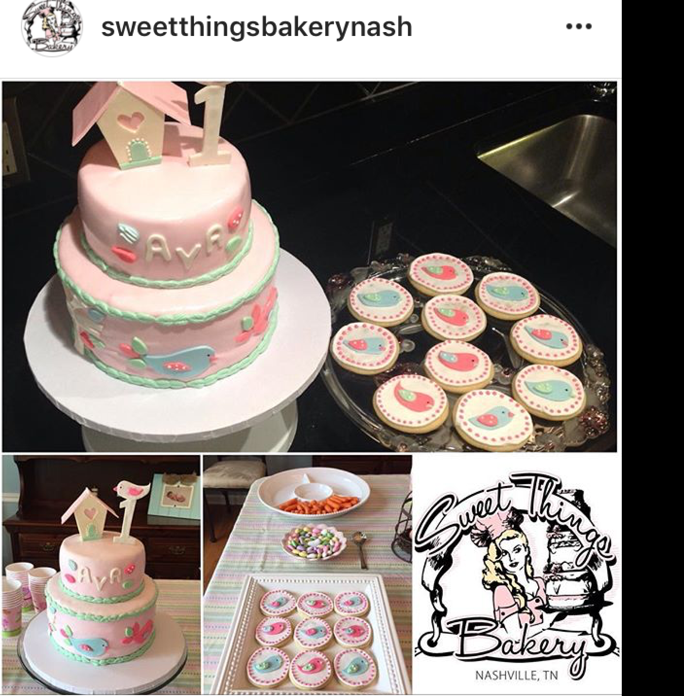 Ava Birthday Cake and Cookies Bird house theme