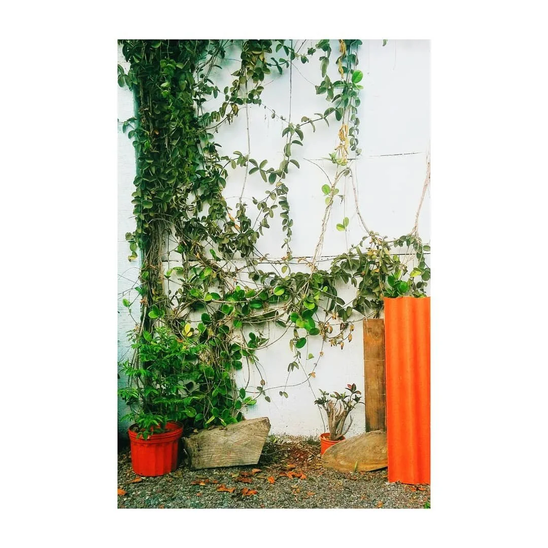 i also didn't know 3:2 ratio photos are a no no (a courtyard in a house) 
#laterlaterlatergram