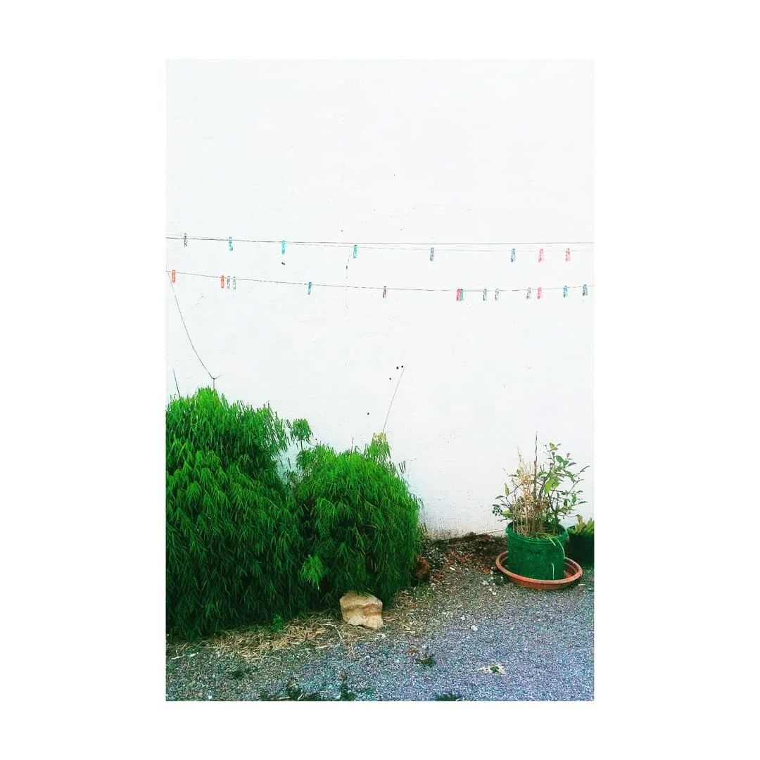 ok I'm bad at instagram this is from 8 months ago (a courtyard in a house) 
#laterlaterlatergram