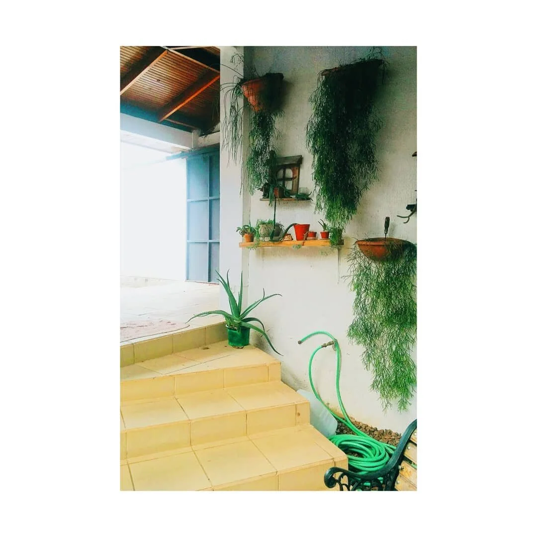 that's why there is this dang white border (a courtyard in a house)

#laterlaterlatergram