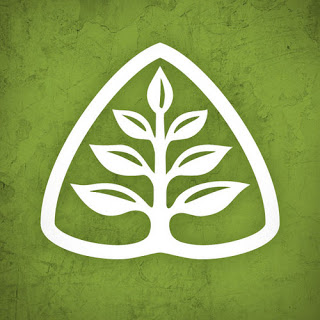 65291-twitter_lig_icon
