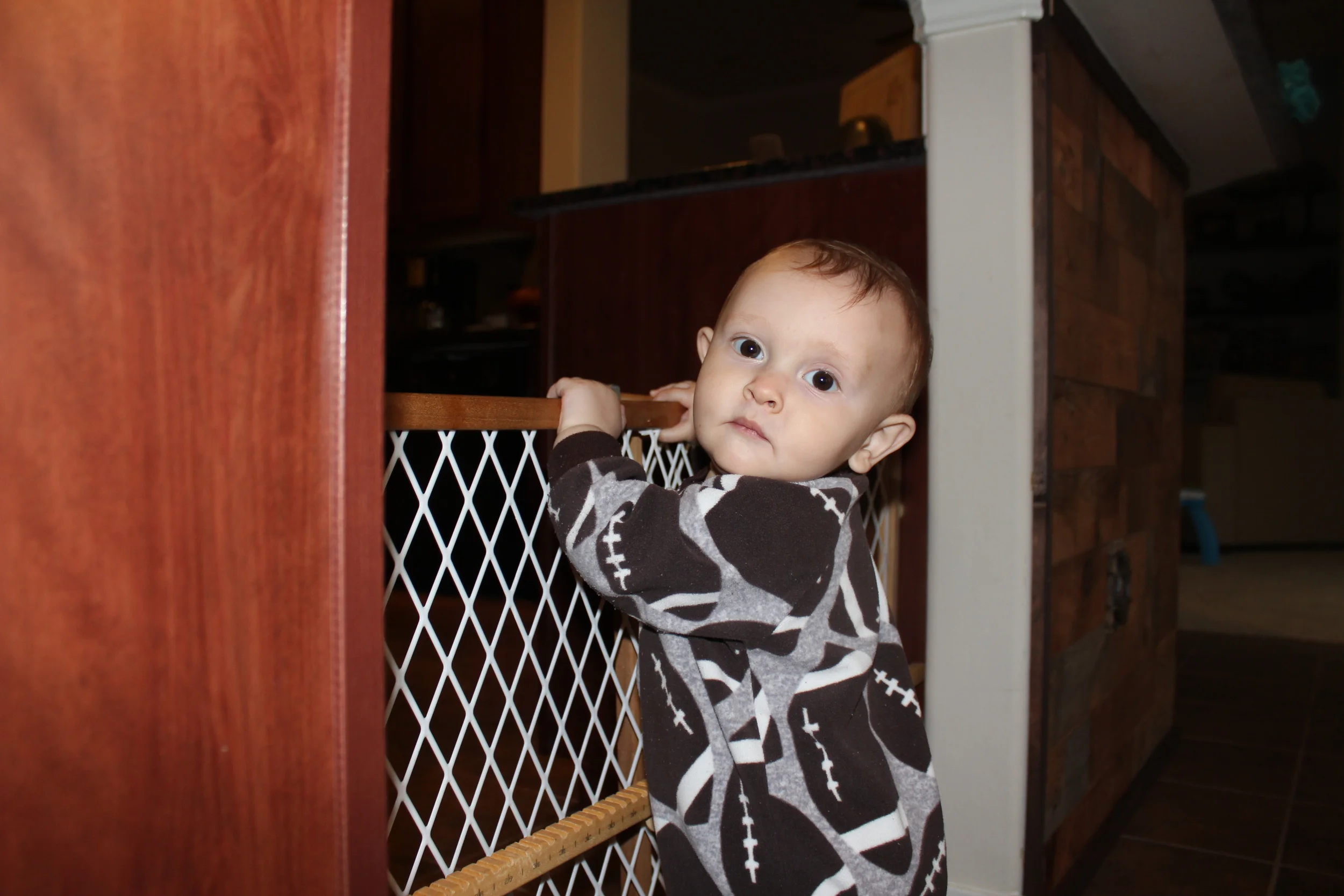 Caught, and unapologetic. He's a hungry boy!