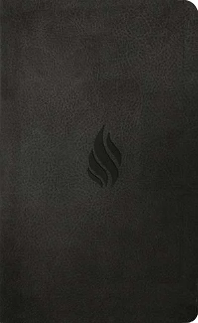 Book Review: ESV Value Thinline Bible