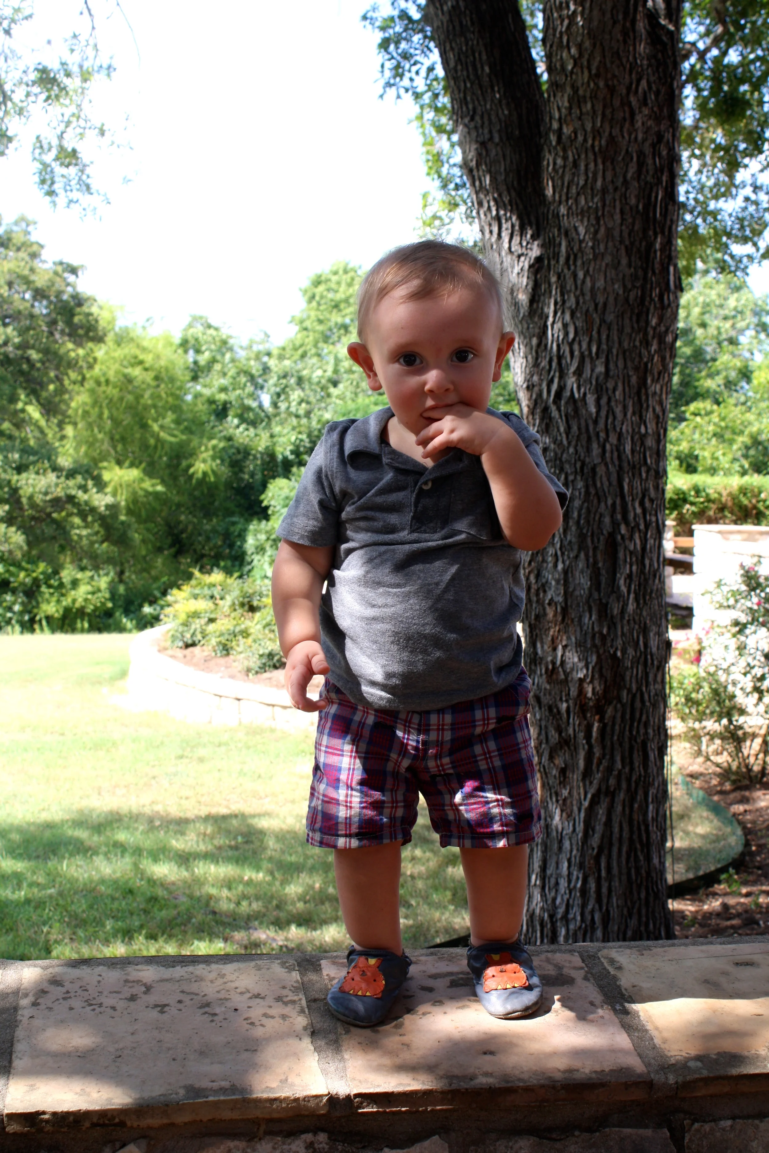 Judah standing on the wall that my brothers, cousins and I played on as kids - more often than not chasing peacocks!