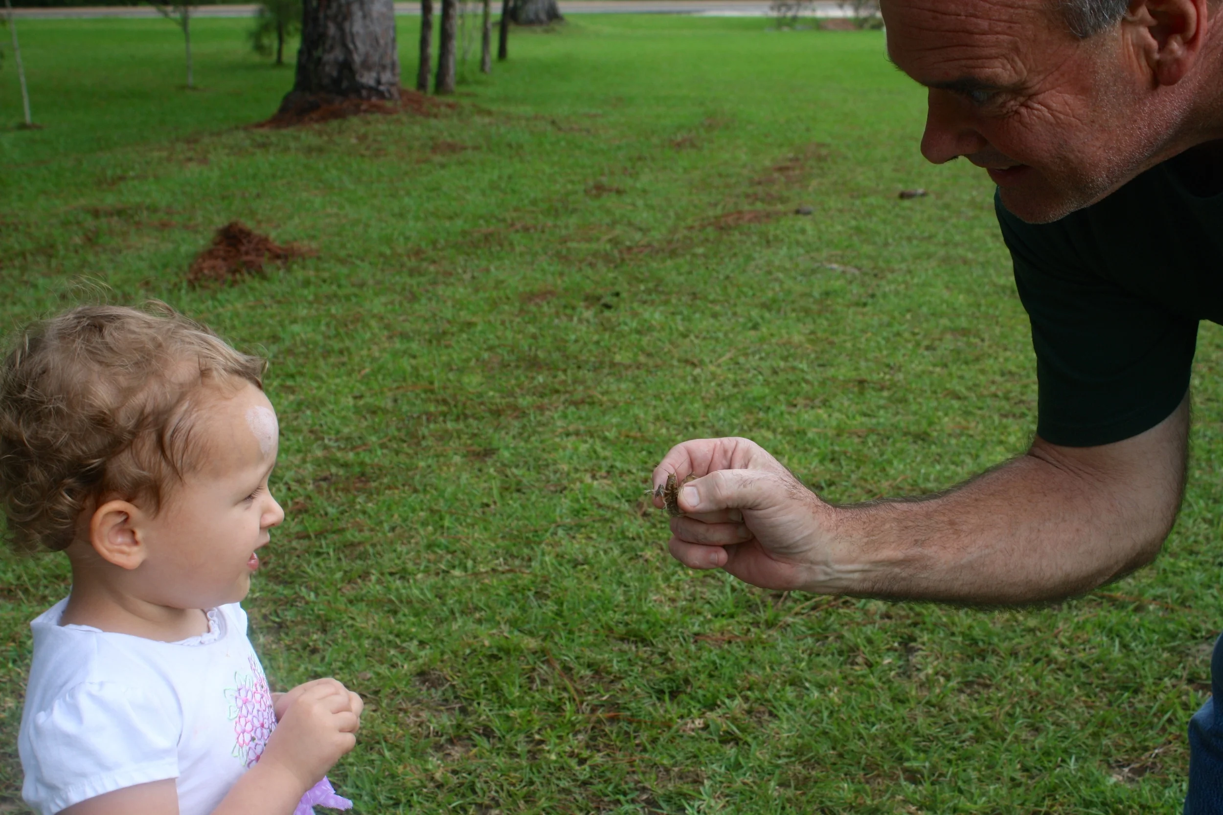 Kenzie didn't realize how good Grandad is at catching crawfish when she agreed to go hunt them with him. 