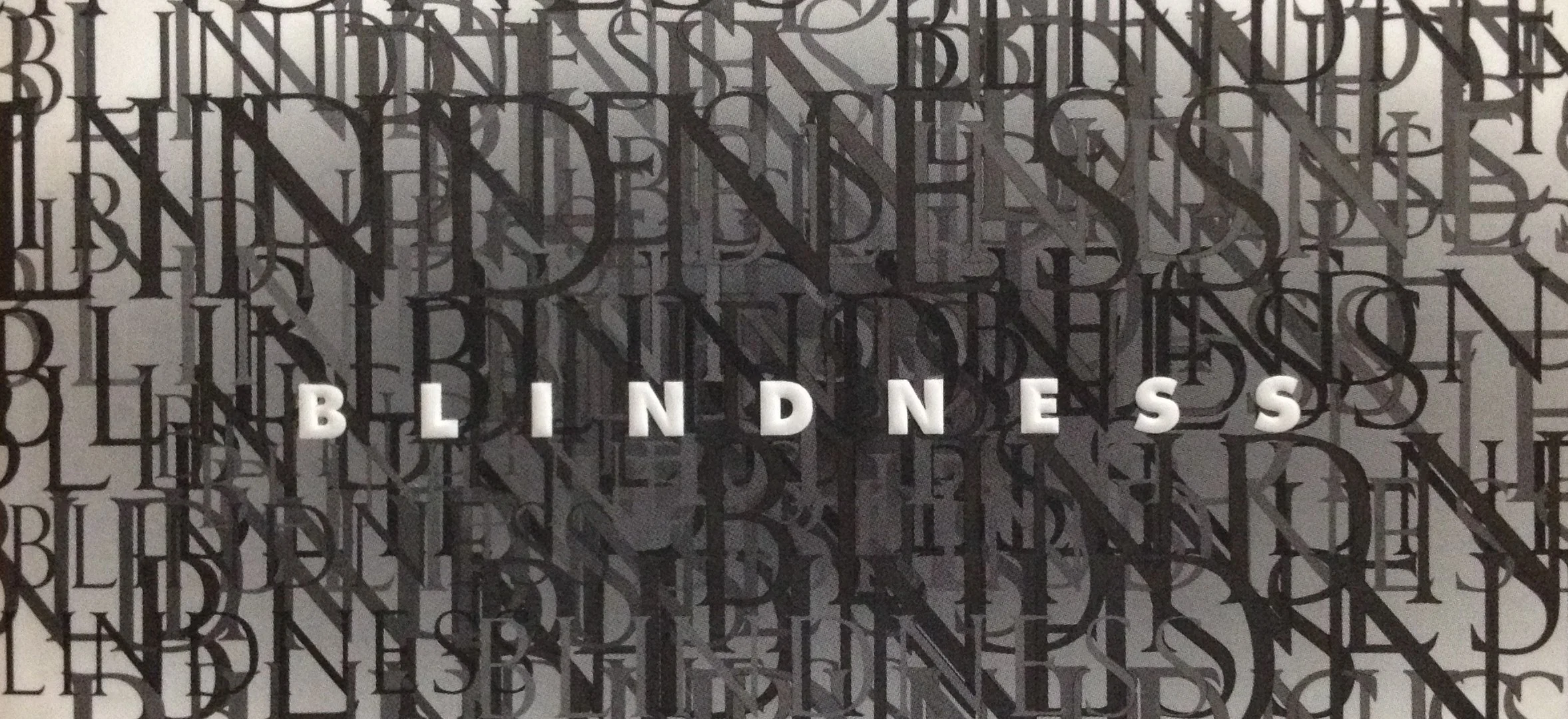 Book Review: Blindness