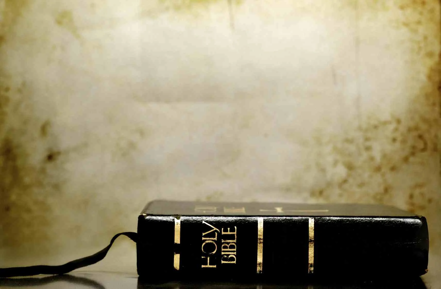 No, I'm Sorry, You Actually DON'T Read the Bible "Literally"