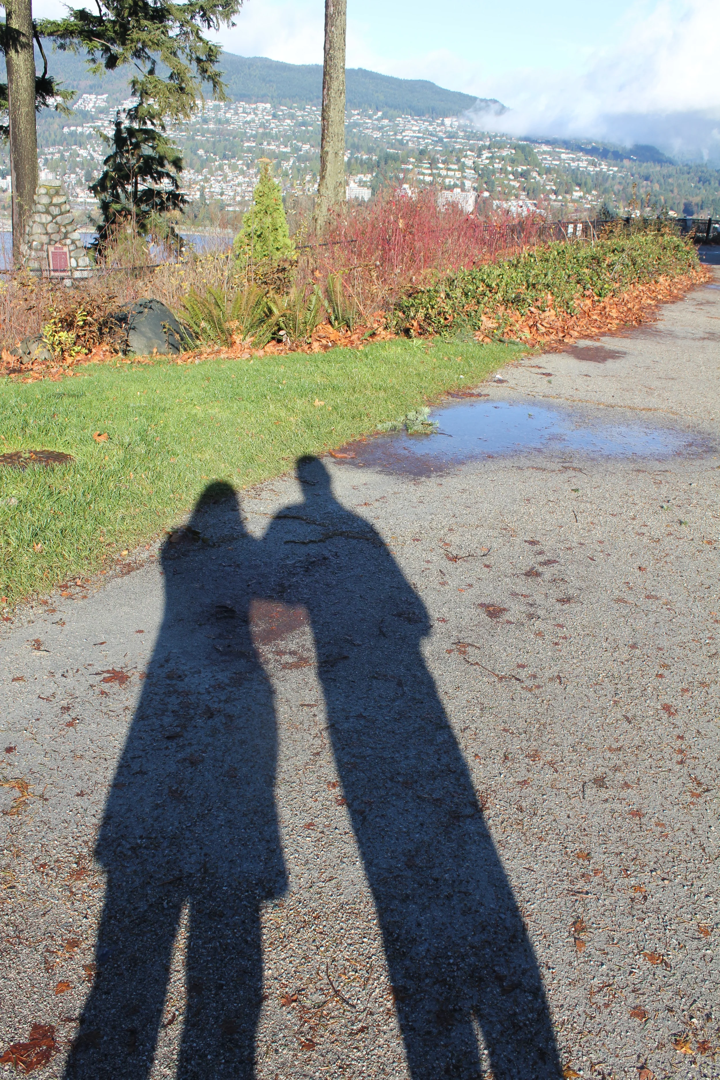 No View Apart From Fog