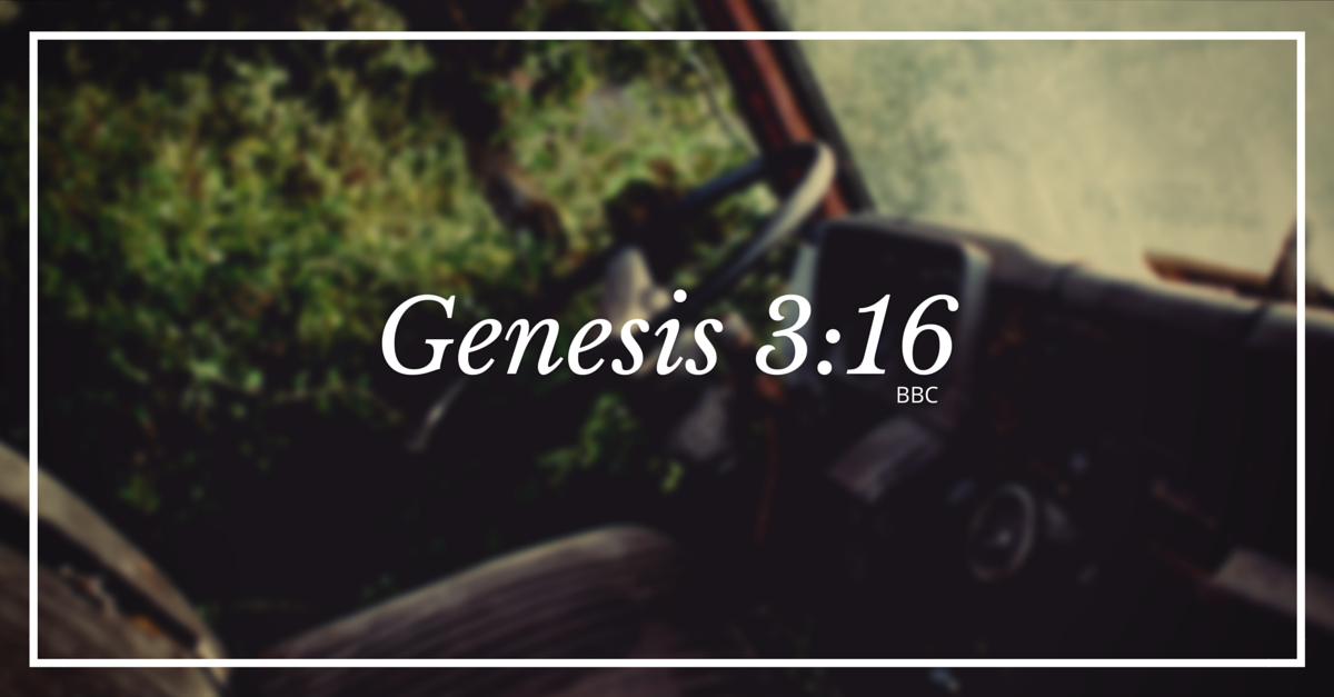 Bbc Genesis 3 17 19