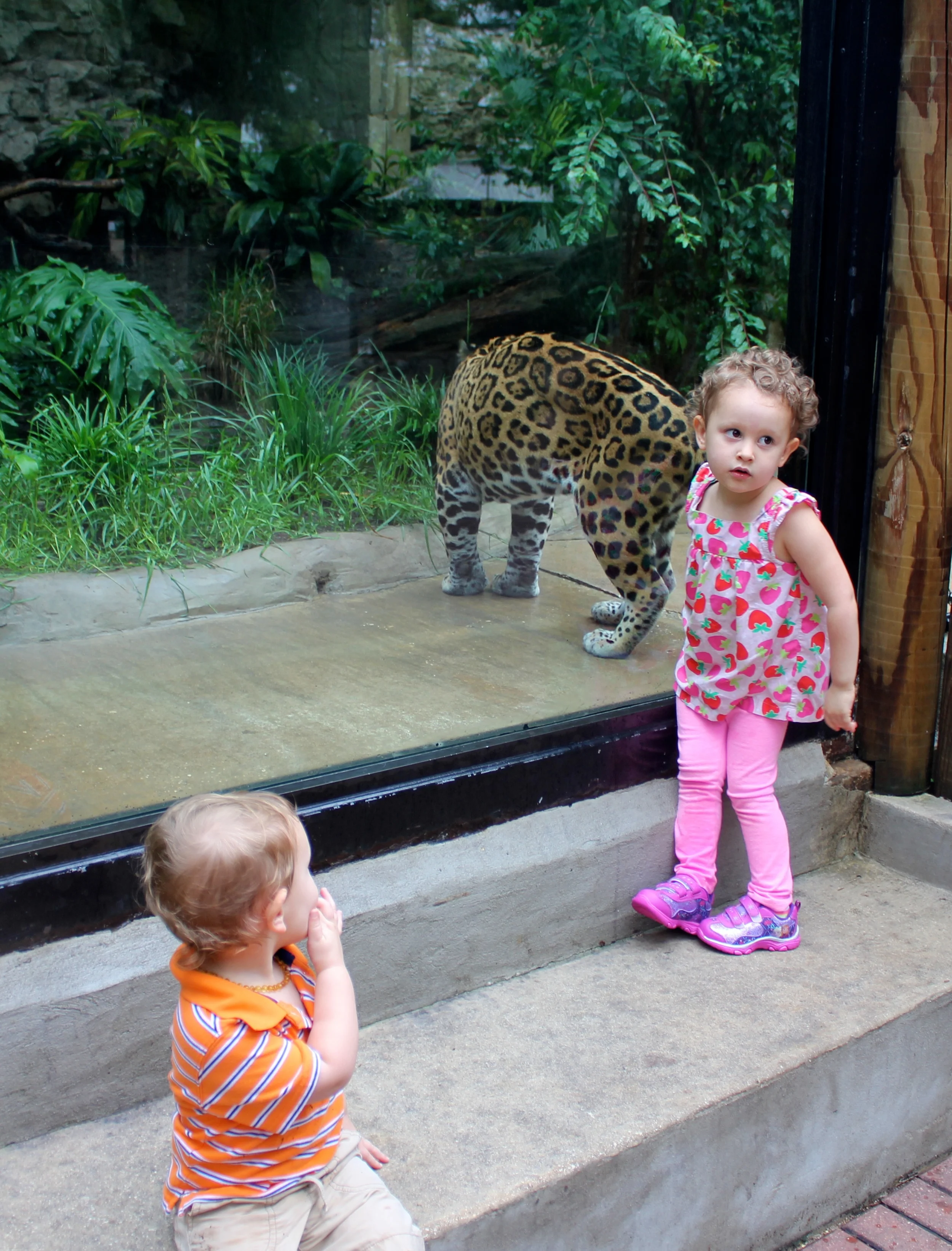 Judah & Kenzie with the jaguar - up close and personal.