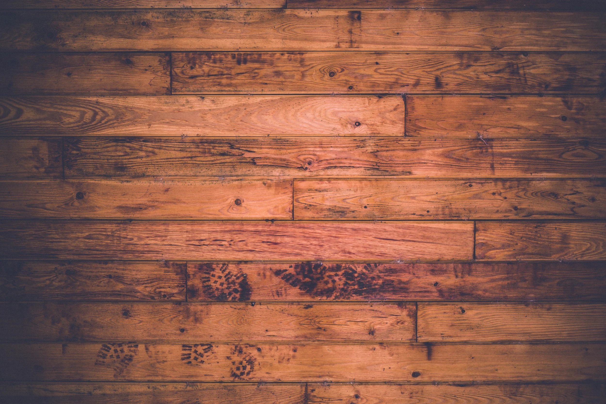 John Calvin and the Civil Magistrate (Part 4)