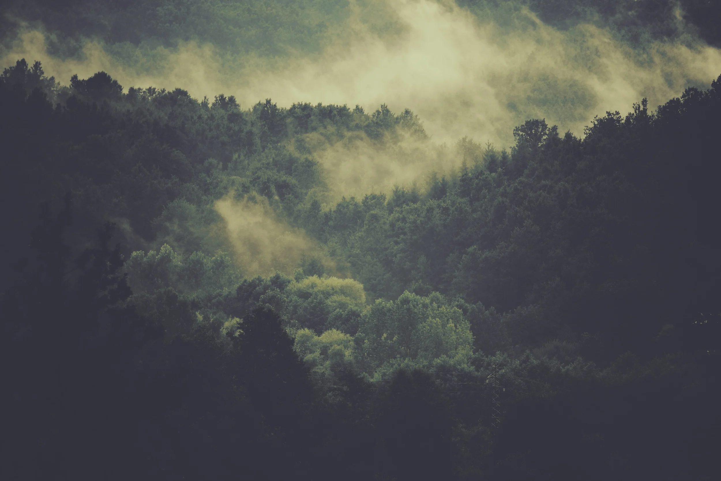 On the Need For Corporate Worship