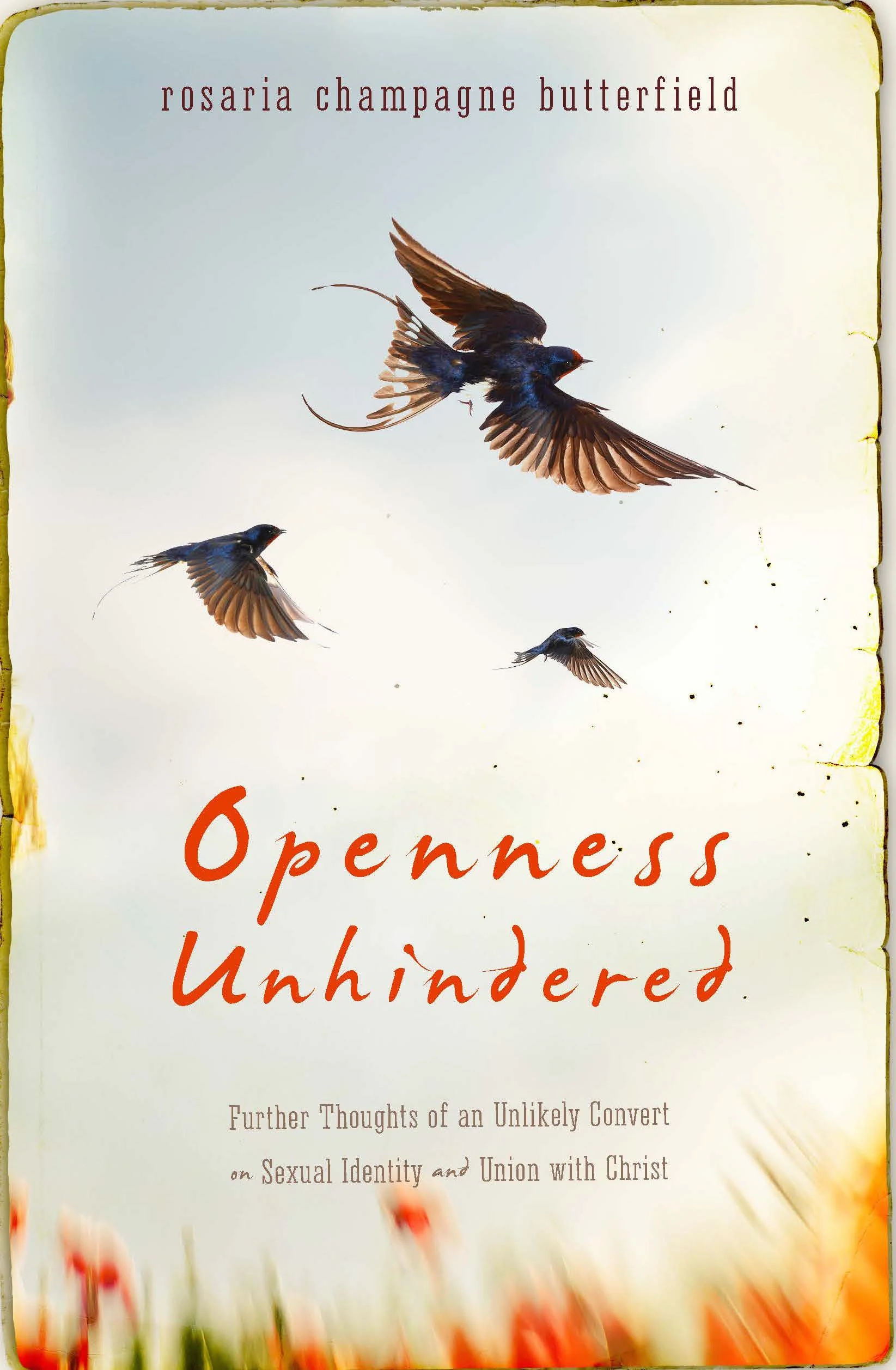 Introducing Openness Unhindered