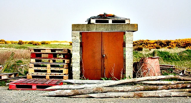 The Best of the Worst