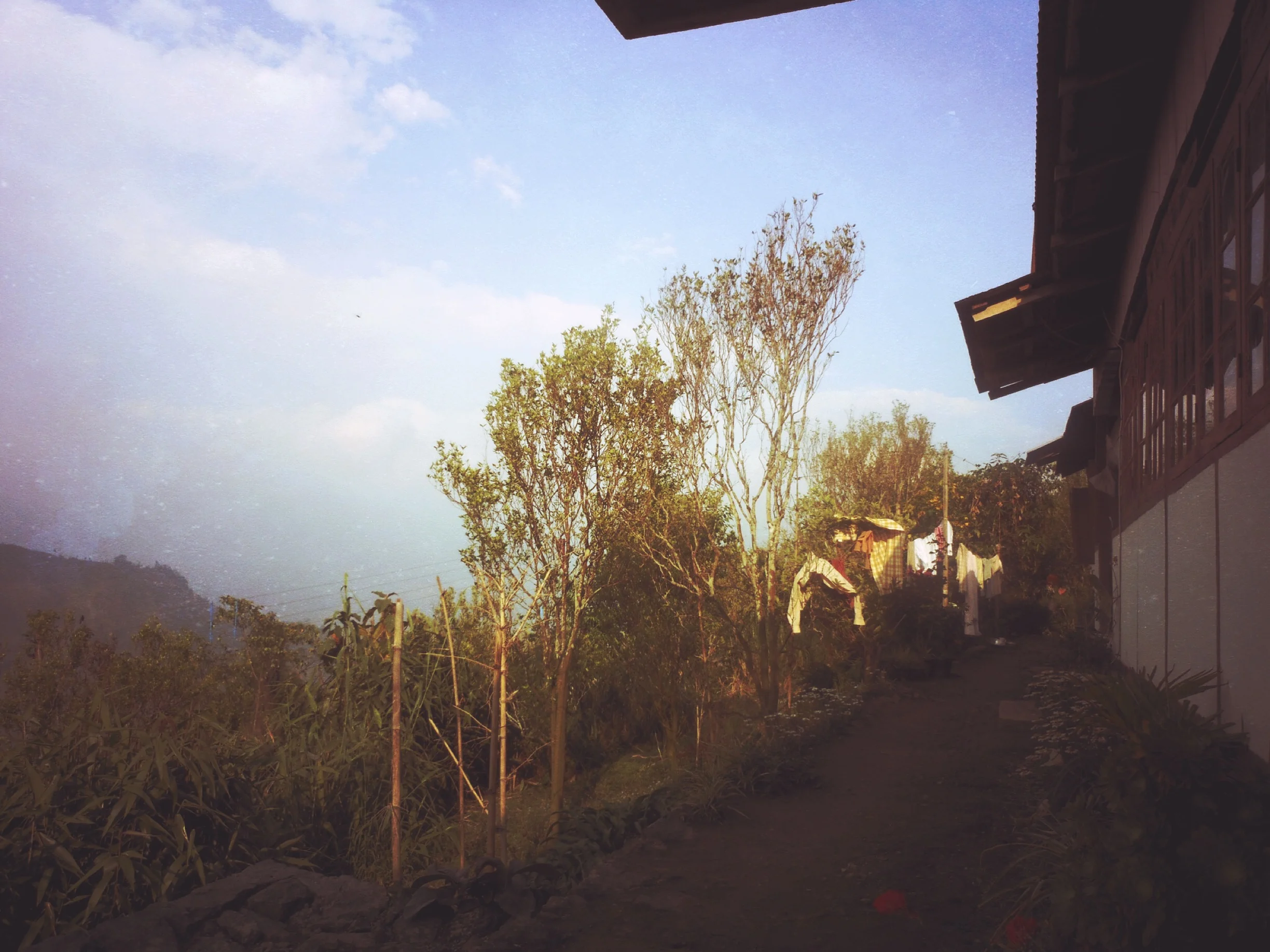 Reflections on Father's Day