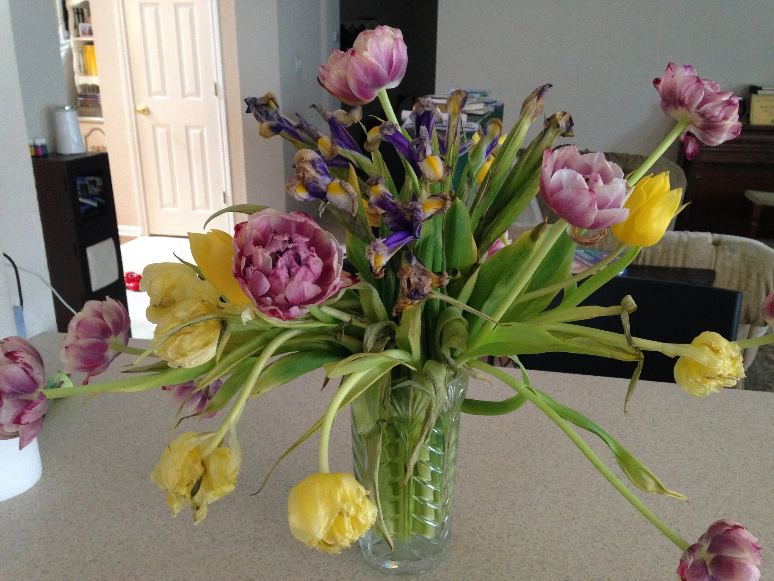 When Friendship Blooms