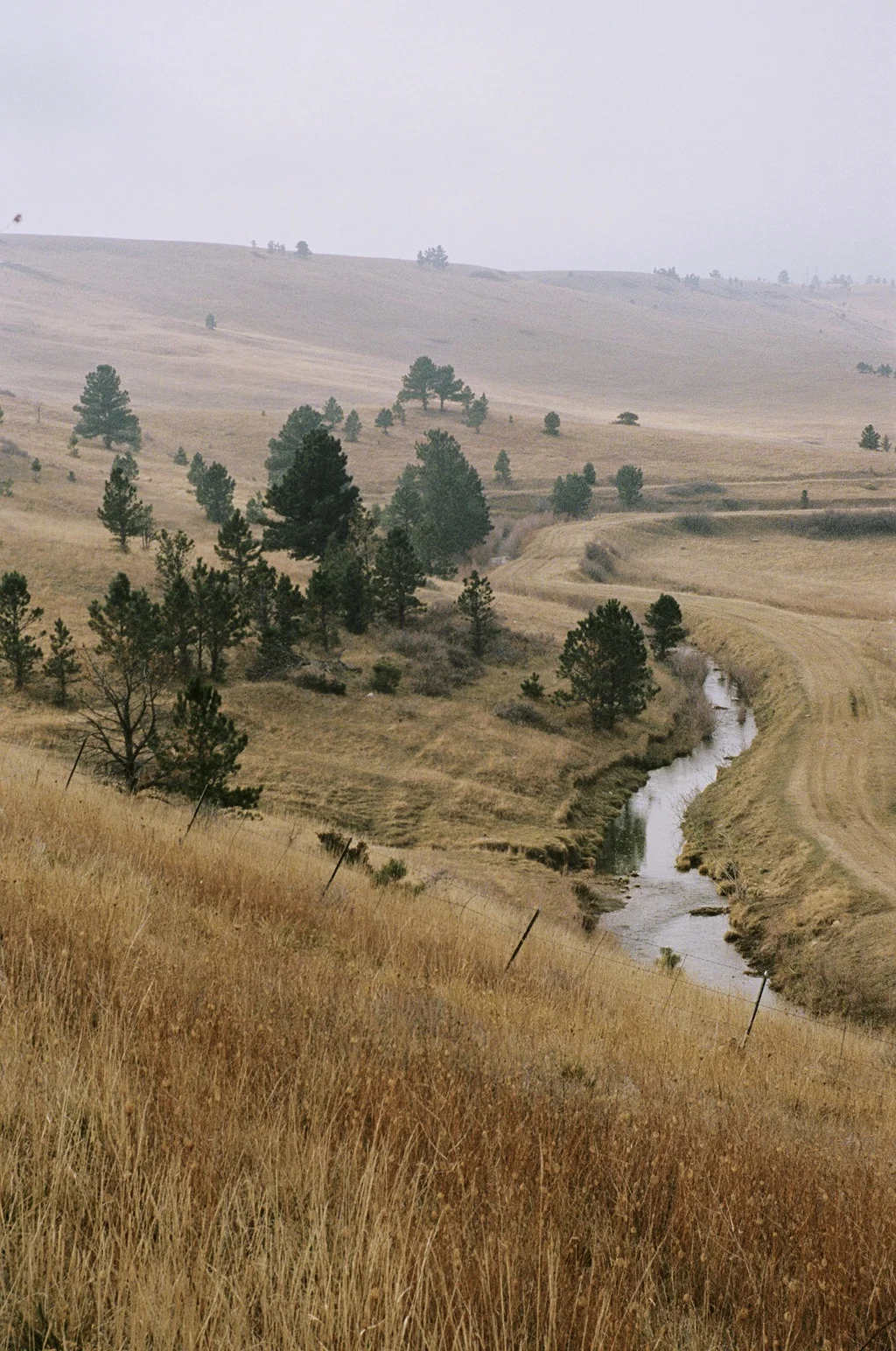 How Firm a Foundation