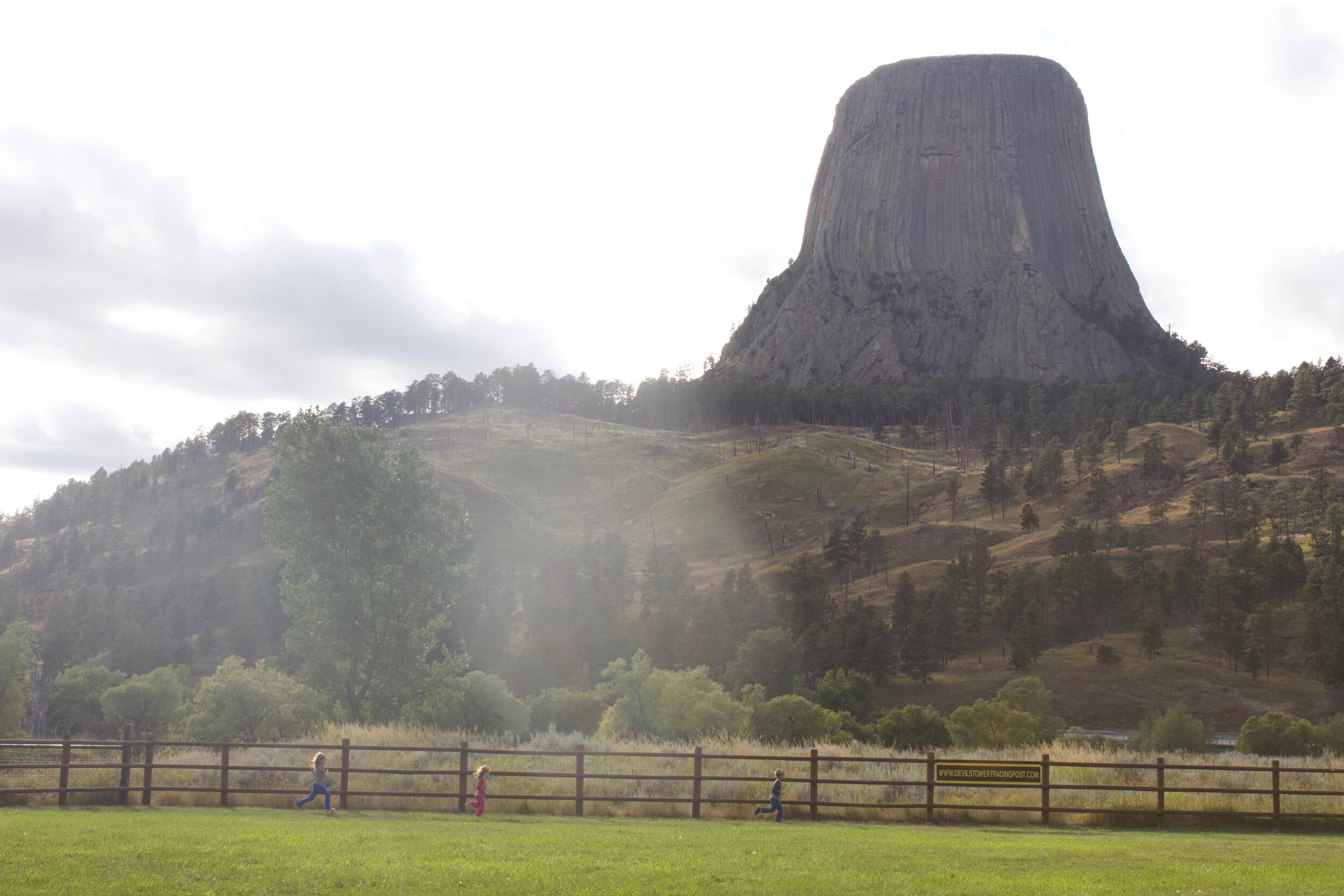  Devil’s Tower! Three Torreylings run in the foreground. 