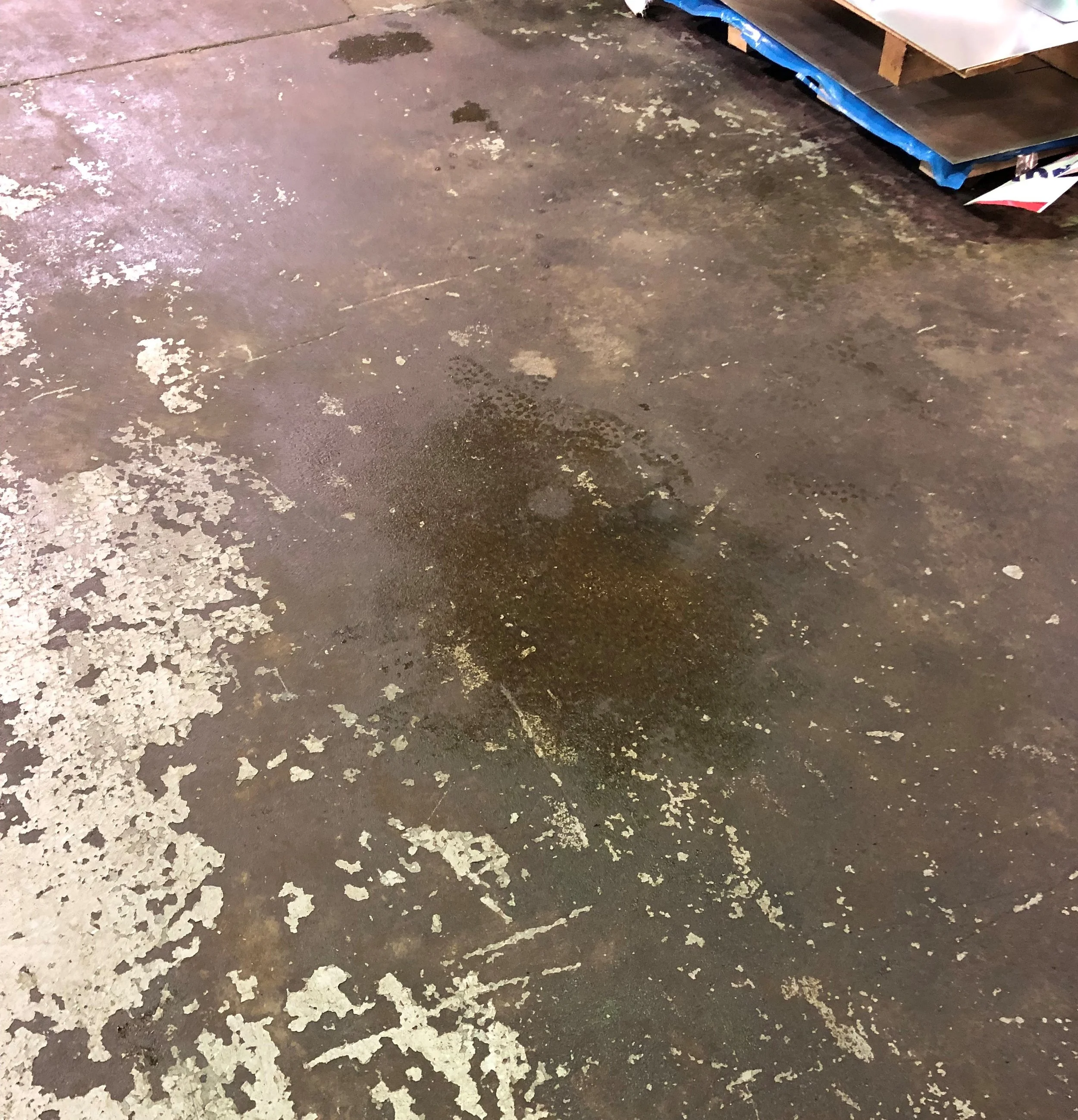 20190520_172241551_iOS.jpg