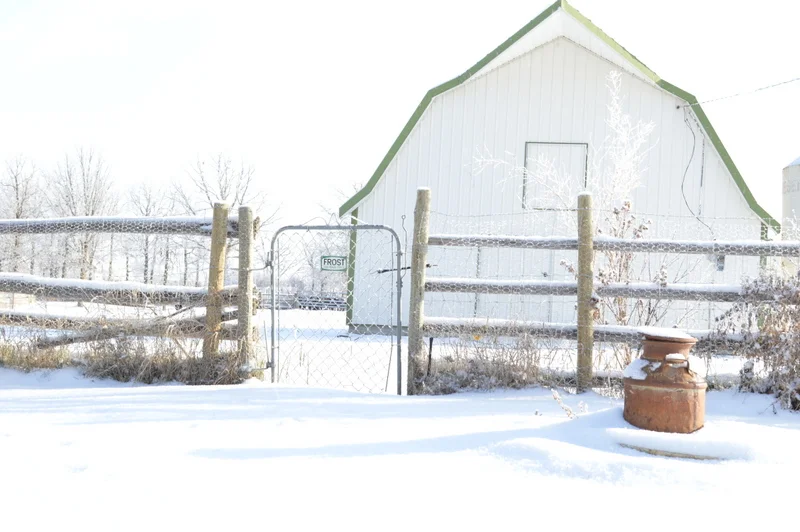 Winter wonderland