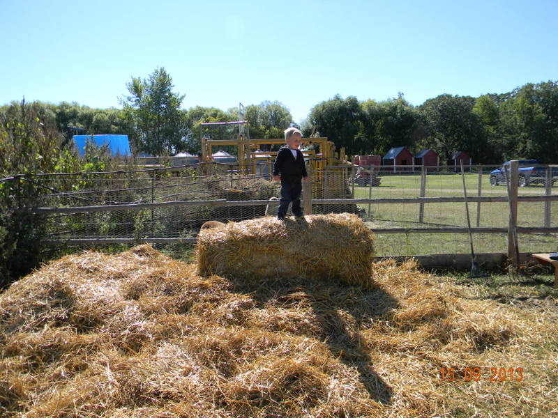 Growing up on the farm