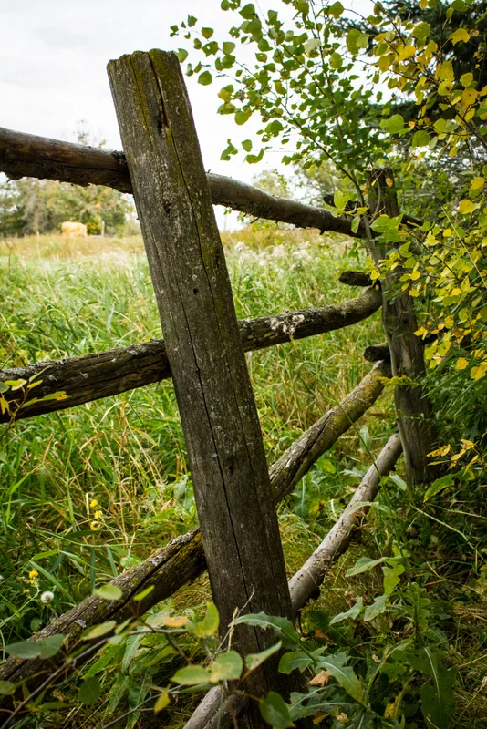 Fall on the farm in Woodmore, MB