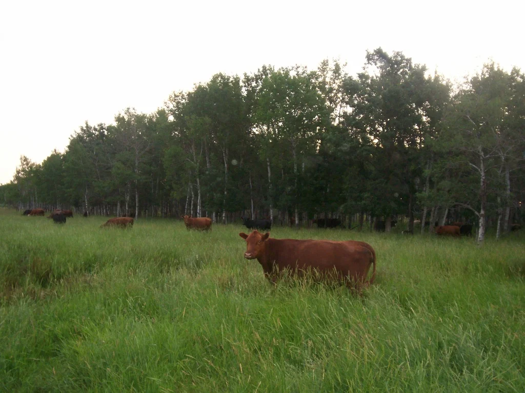 100_0837 - Version 2.jpg