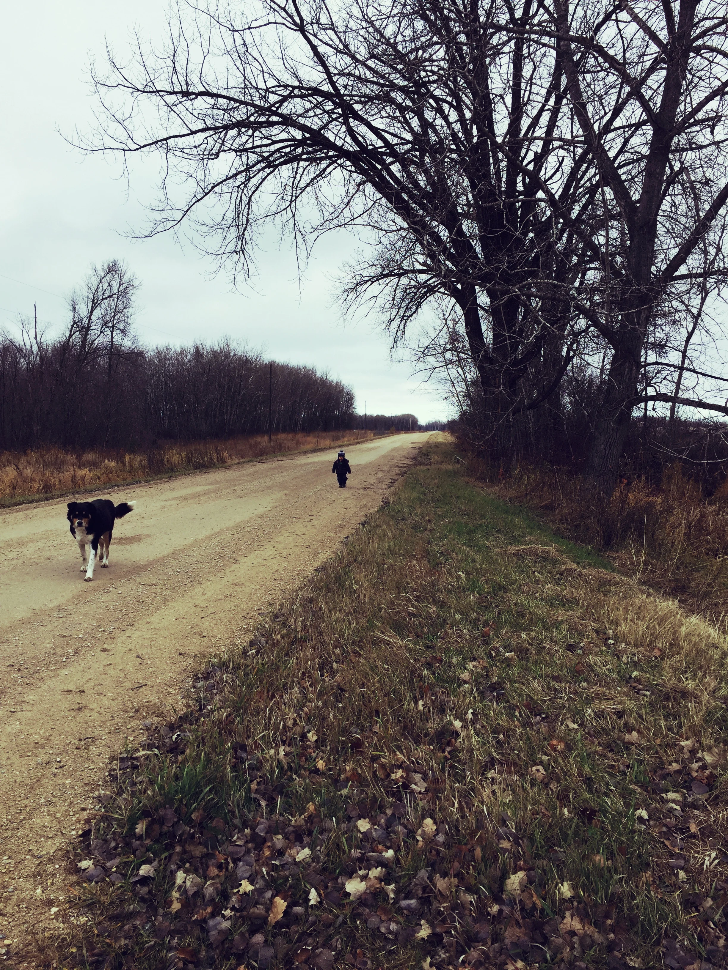  Trekking down the road 