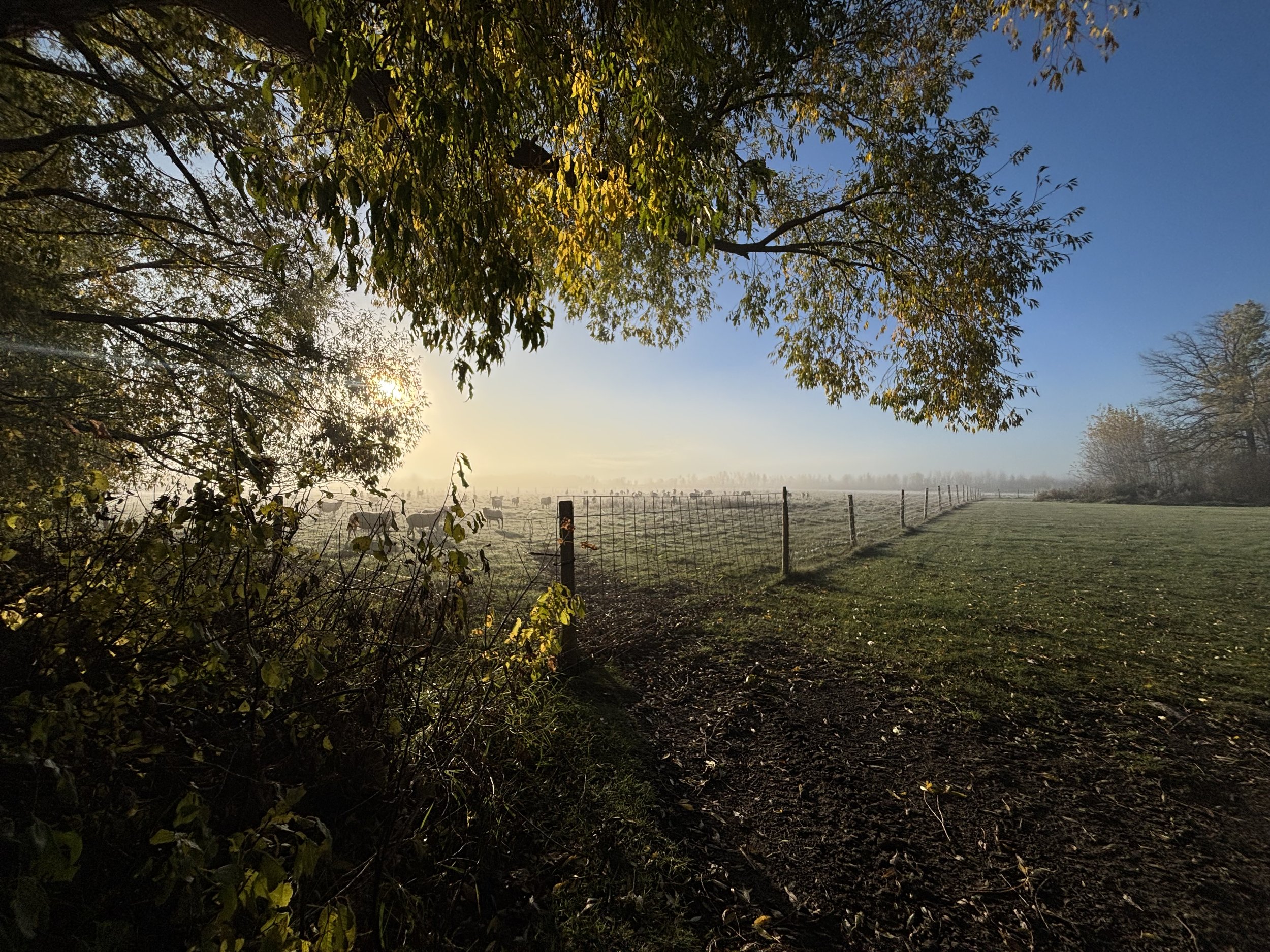 Marché St Norbert Farmers' Market