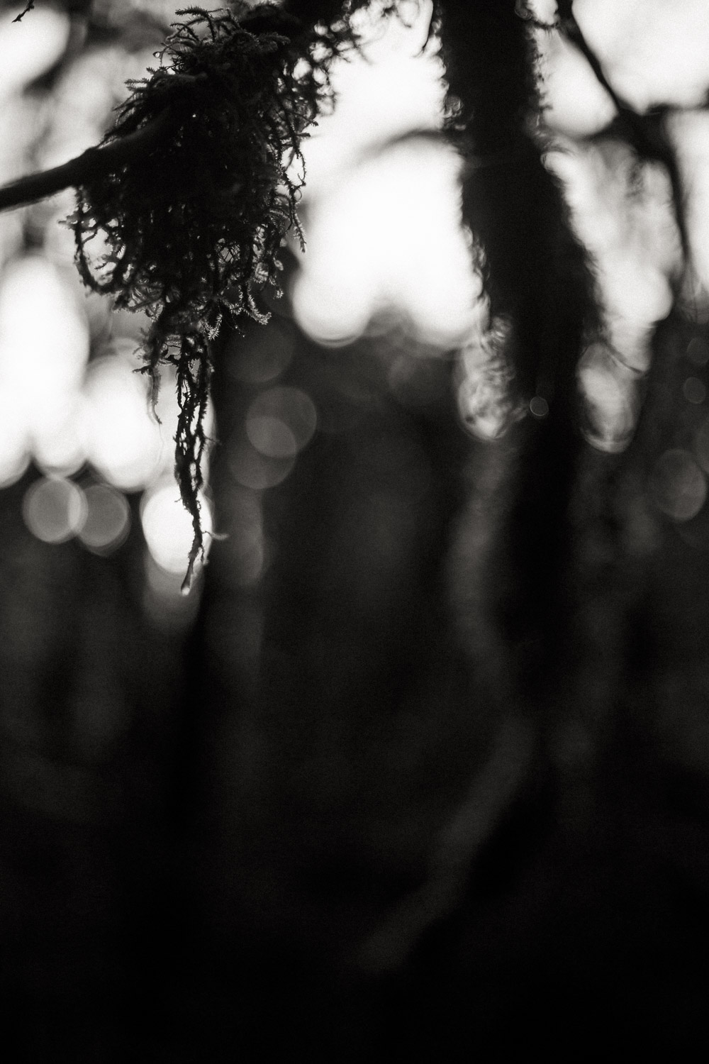 _MG_5586.jpg