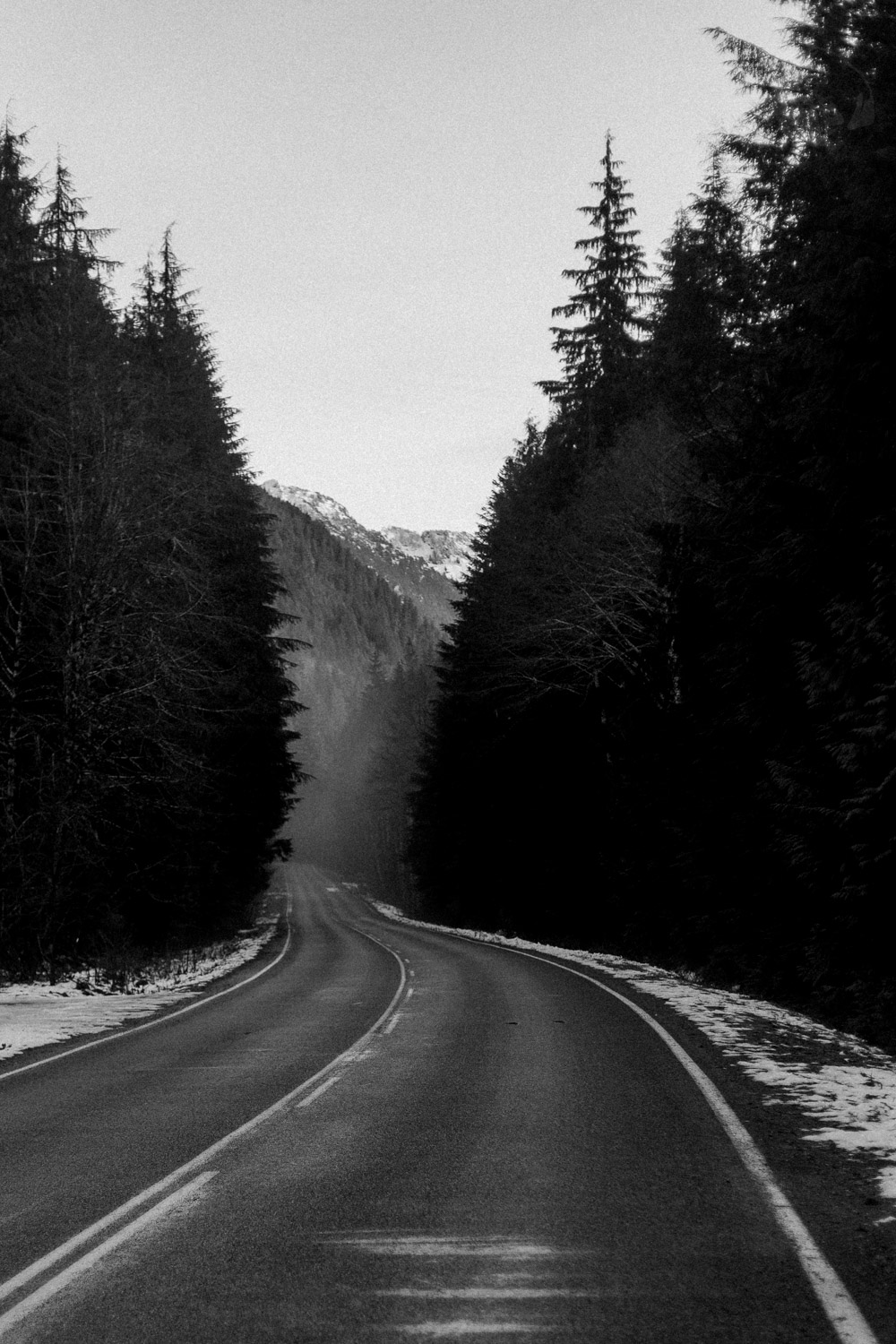 _MG_5637.jpg