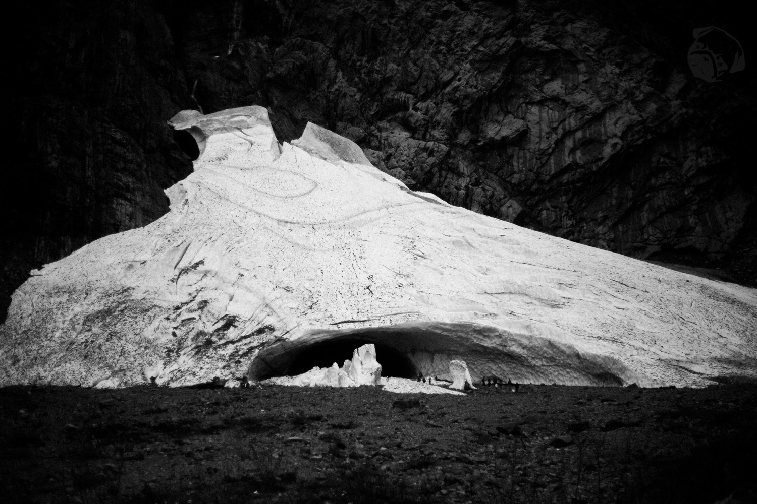 _MG_5716.jpg