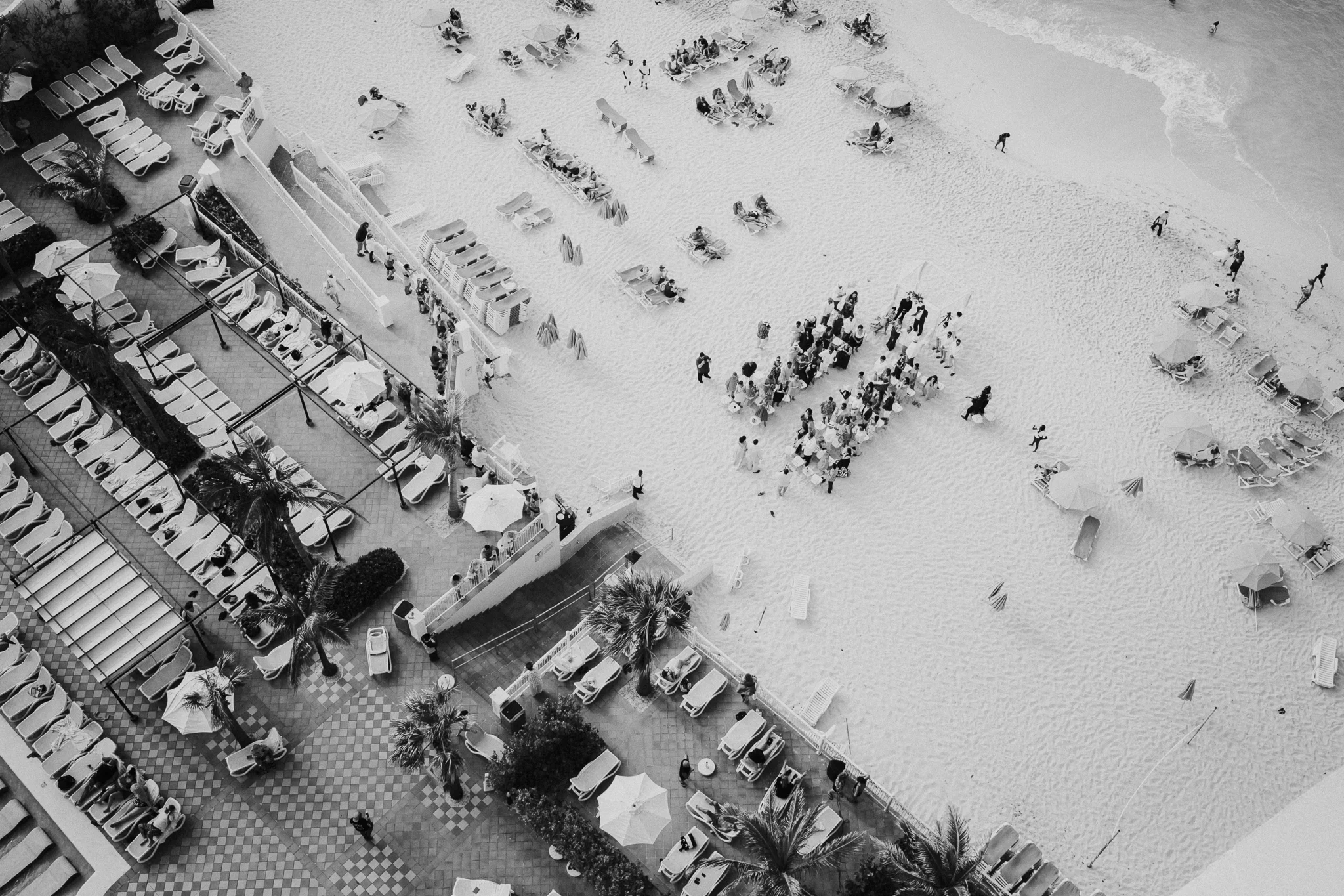 _MG_3084.jpg