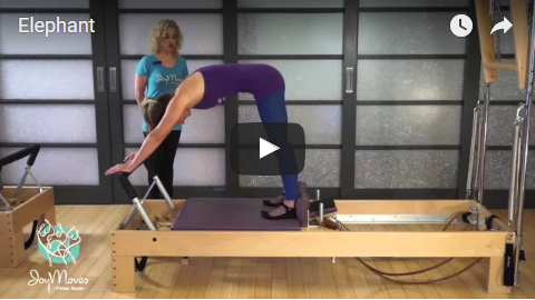 Pilates Reformer - Elephant