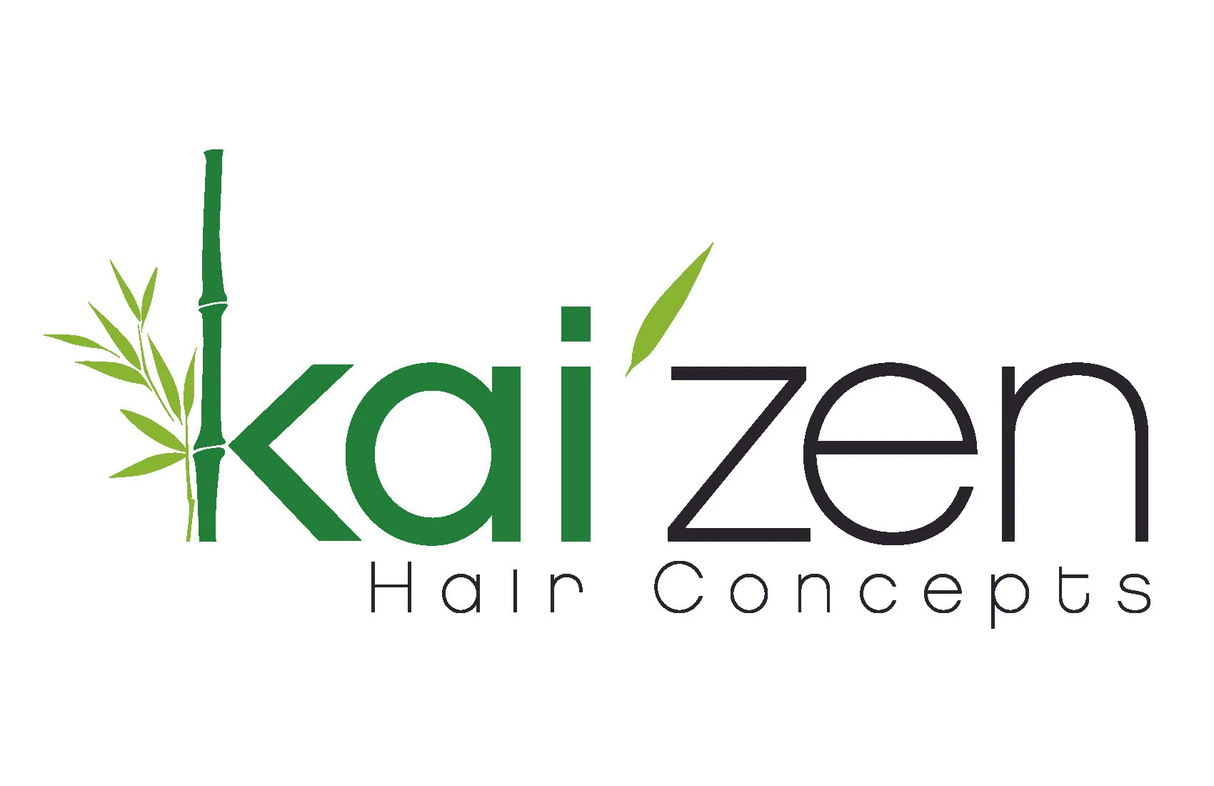 kaizen_logos_Page_1.jpg