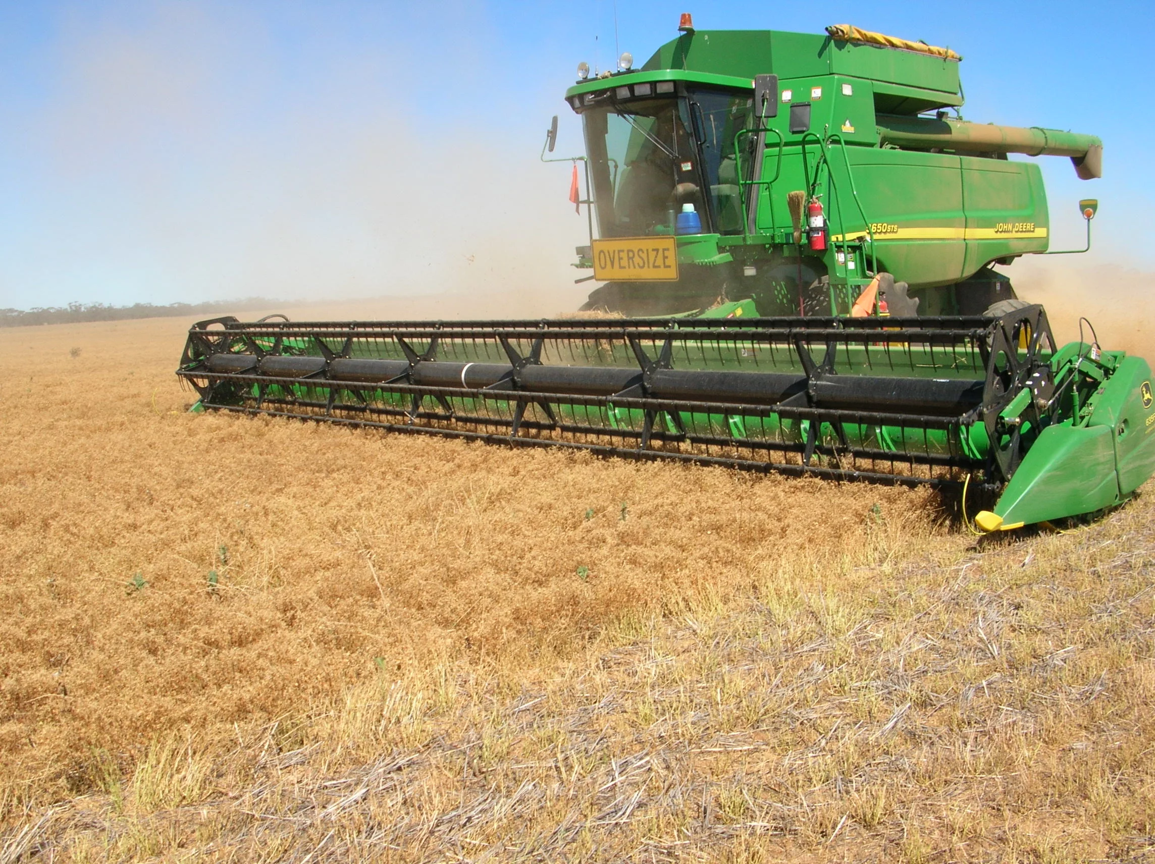 harvest5.jpg