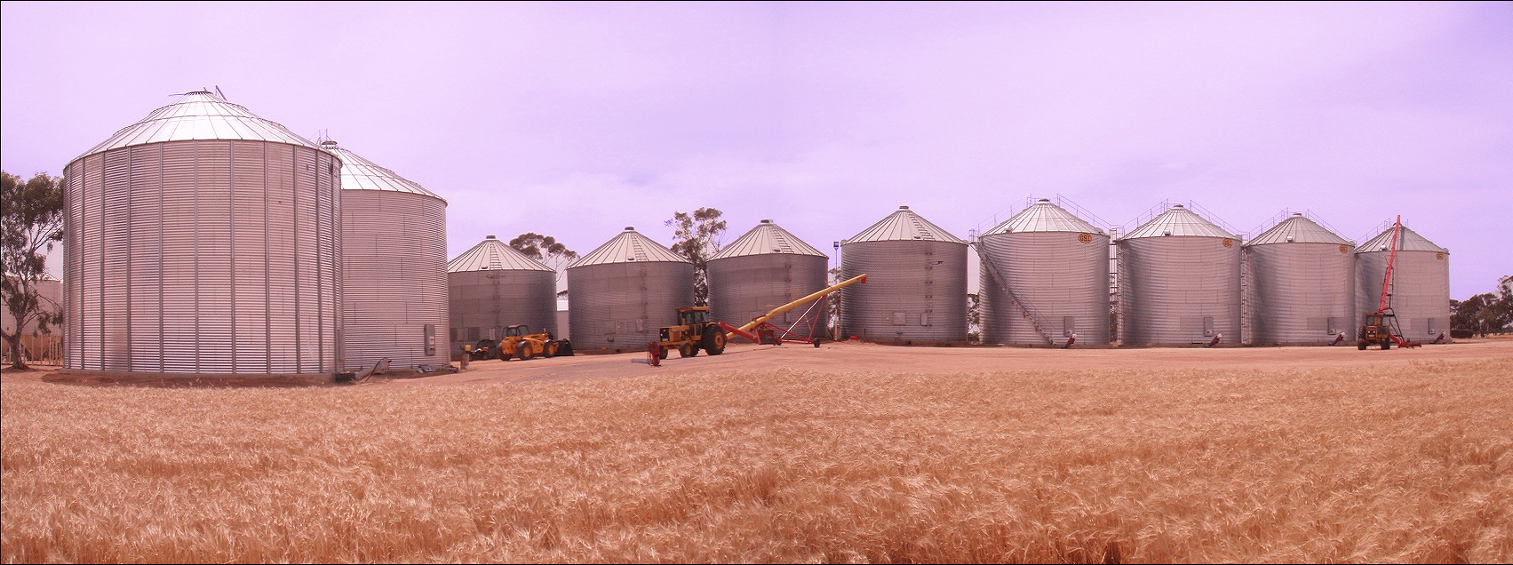 Donohues Silos's 2009 Harvest.jpg